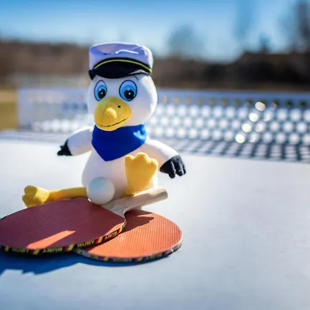 Apartamento Lagovida Moewenblick A Am Stoermthaler *