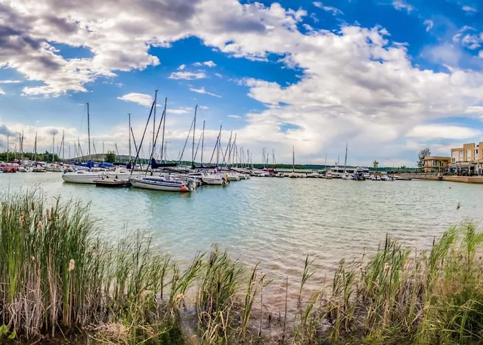 Daire Lagovida Moewenblick A Am Stoermthaler Grosspoesna