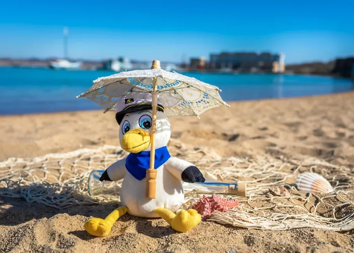 Lagovida Moewenblick A Am Stoermthaler *