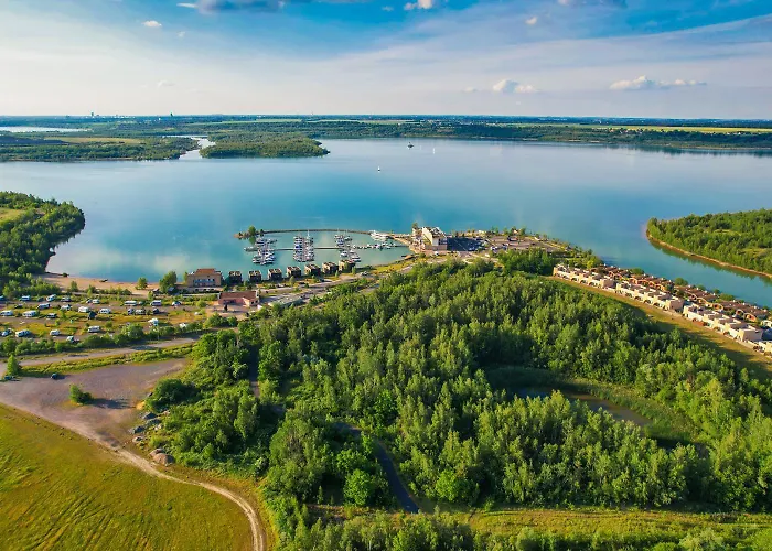 Daire Lagovida Moewenblick A Am Stoermthaler Grosspoesna