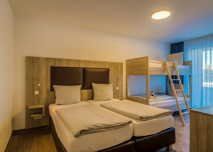 Daire Lagovida Moewenblick A Am Stoermthaler Grosspoesna